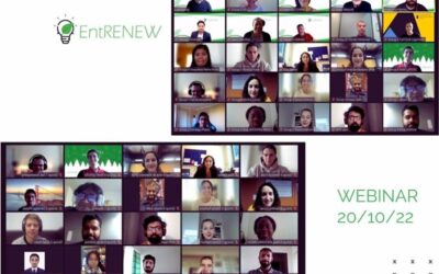 EntRENEW Webinar – Expanding Entrepreneurship Skills for the Renewable Energy Sector